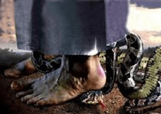 022715_2211_imgenes1