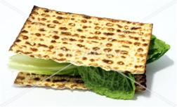 11042011070623079200029482685sa3frmtxltthd45apaajg55