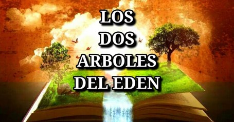 LOS DOS ARBOLES DEL GAN EDEN-ARBOL DE VIDA TORÁ