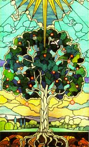 treeoflife5j