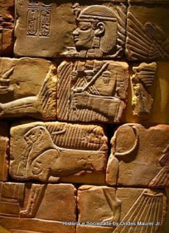 História e Sociedade (61)