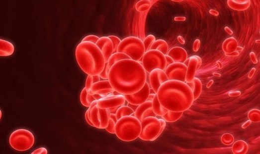 composicionsangre-g-050613