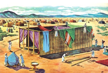 Parecer-del-tabernaculo