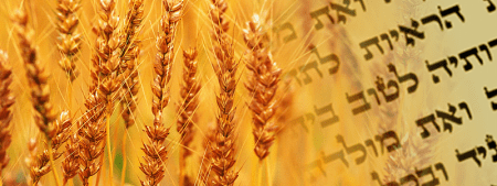 shavuot-1