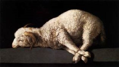 Isaac-lamb