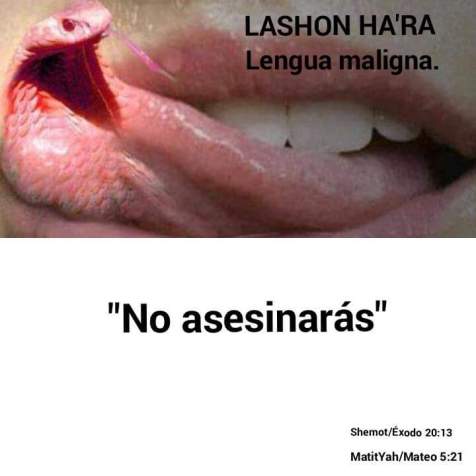 13938402_10209672671512111_7094073220890717352_n