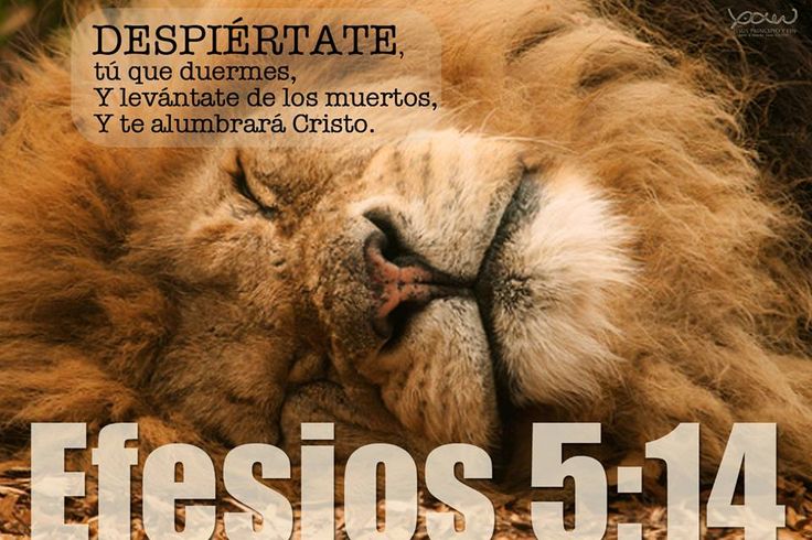 82b39d32c9bc965e5e21055613ed9d30