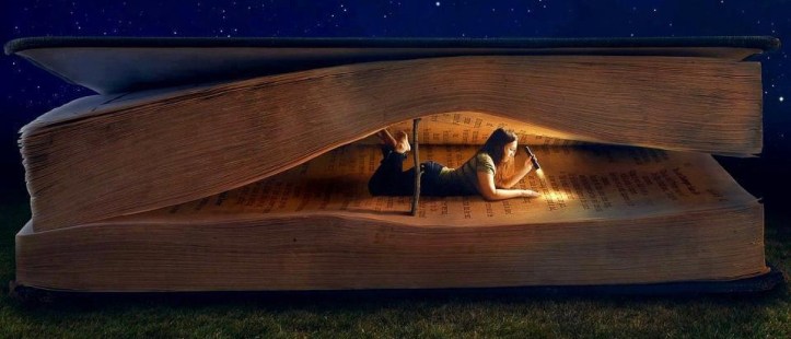 cropped-libro-y-nic3b1a-dentro2