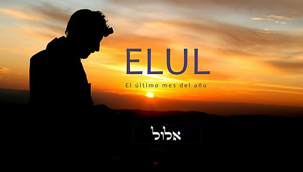 elulweb-18-08-15