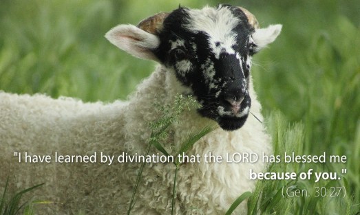 genesis-30-the-lord-has-blessed-me-because-of-you-1080x648