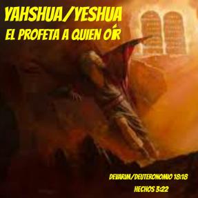 14196051_10209968406345297_562572859800142560_o