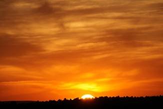 f47edeb02882e74105025174a710a49b