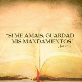 92e1fc8cf80add322ccde0b07ad7cb39