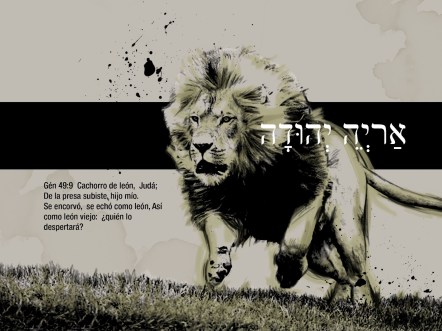 leon-de-la-tribu-de-judc3a1-copy2.jpg
