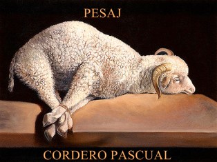cordero-pascual.jpg